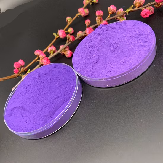 Starlight High Pigment 5 colori Leggero e veloce